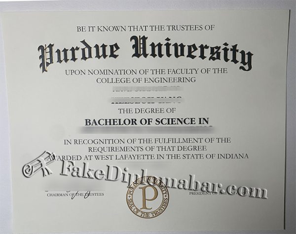 fake PU diploma