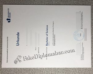 fake Uni-Siegen diploma