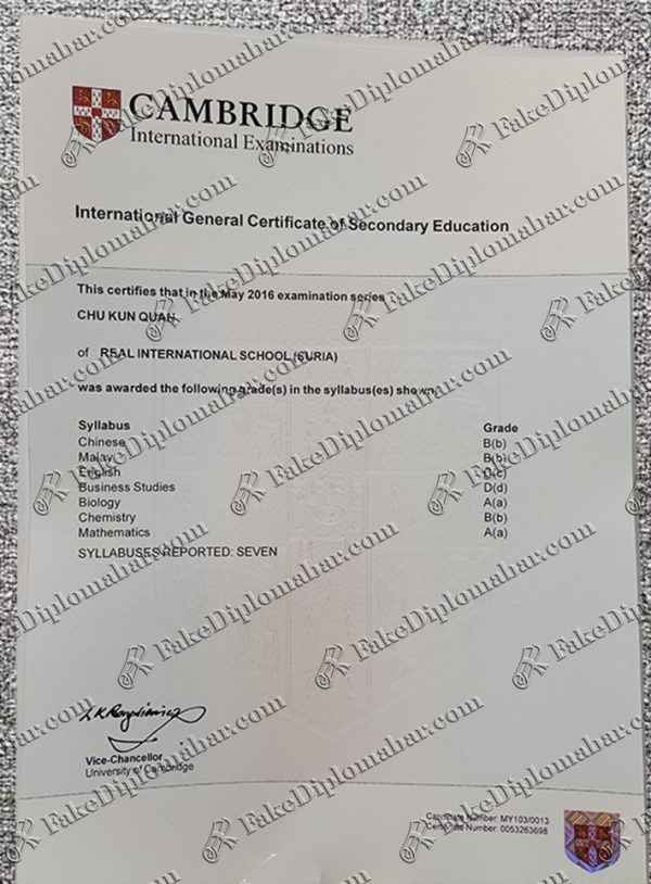fake IE diploma