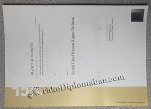 UCL diploma
