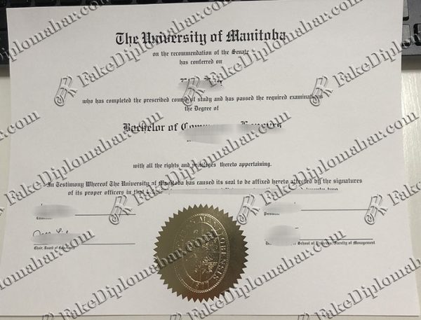 fake UM diploma