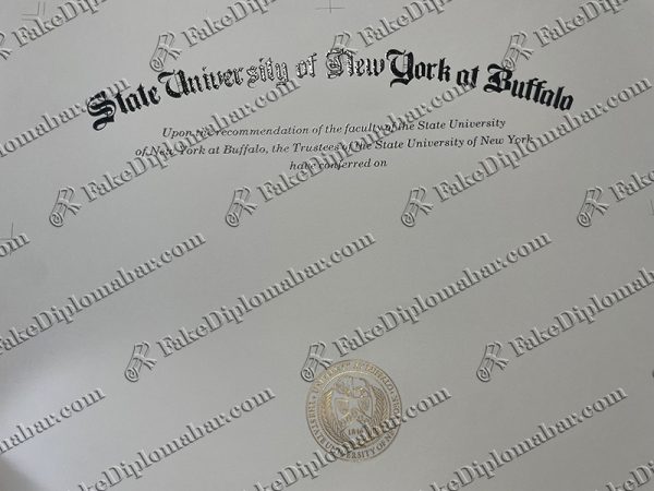 buy fake UB diploma
