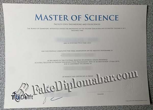 fake delft diploma