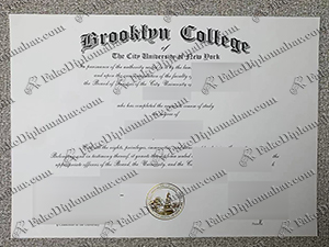 fake CNUY diploma