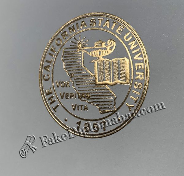 fake CSUN diploma
