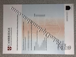 buy Cambridge IGCSE certificate