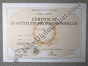 Certificat D'Aptitude Professionnelle certificate