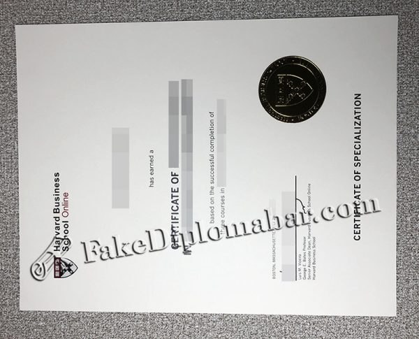 HBS Online Certificate Copy