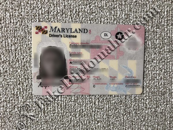 Maryland driver license