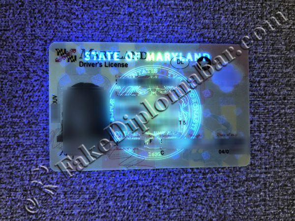 Maryland ID card