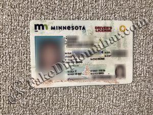 buy Minnesota driver license