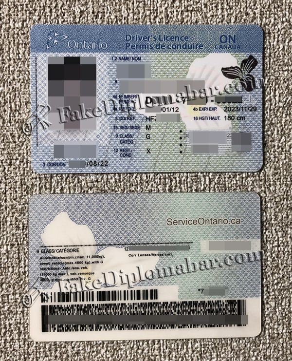 Ontario Driver's License