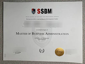 Fake SSBM Diploma