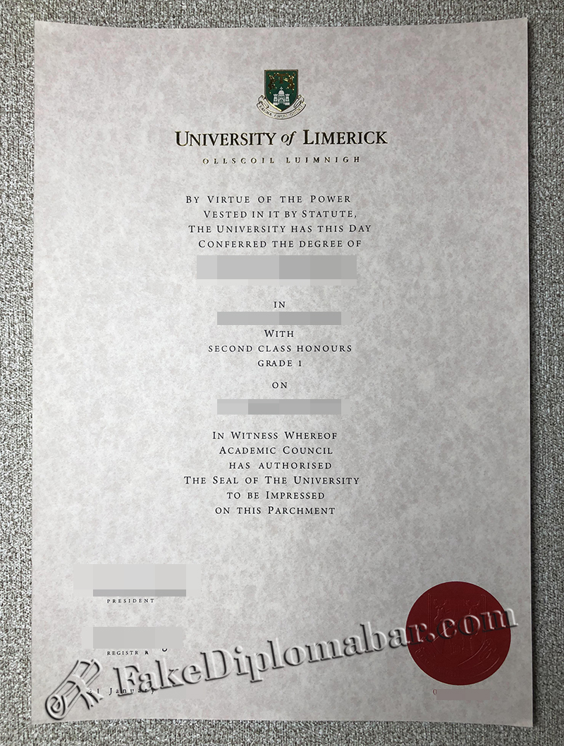 University of Limerick Diploma