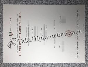 University of Padova Diploma Copy