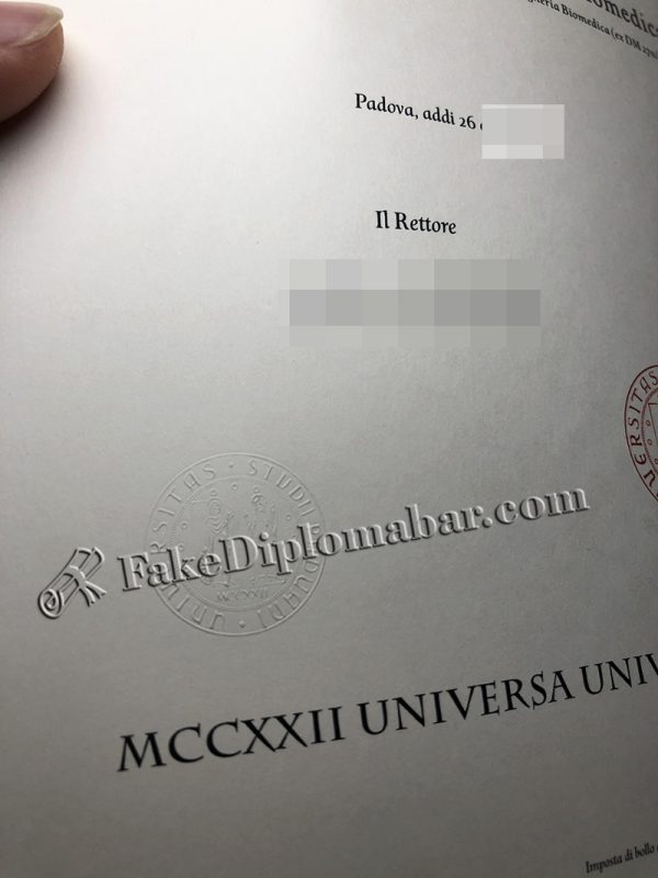 University of Padova Diploma Raised Seal