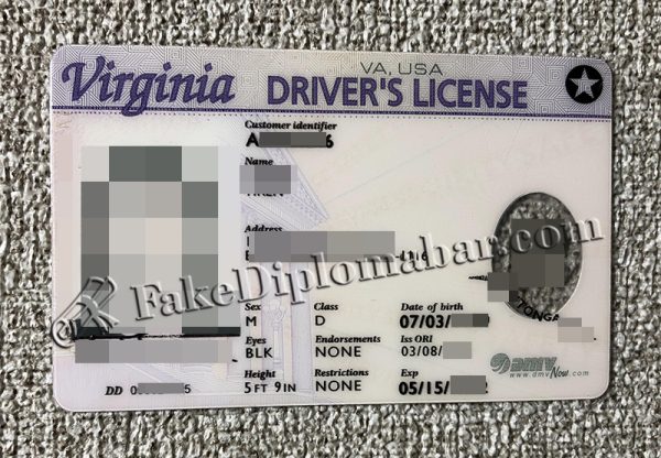 Virginia Driver's License Front