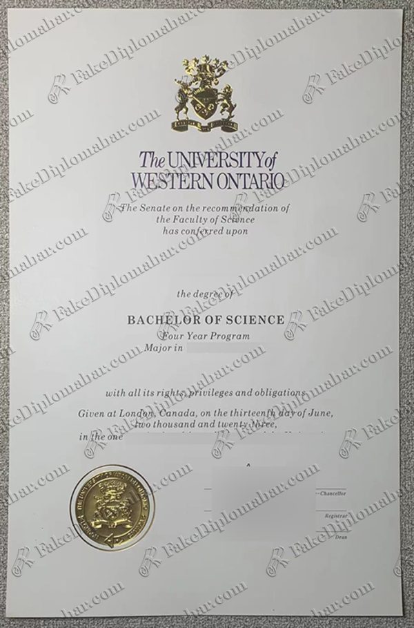 Western University degree