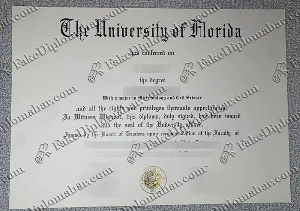 fake UF diploma