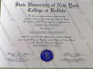 fake ub diploma