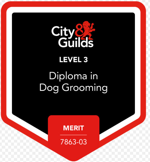 City & Guilds Level 3 certificate for Dog Grooming