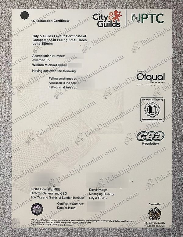 buy fake CITY&Guilds Level 2 certificate online