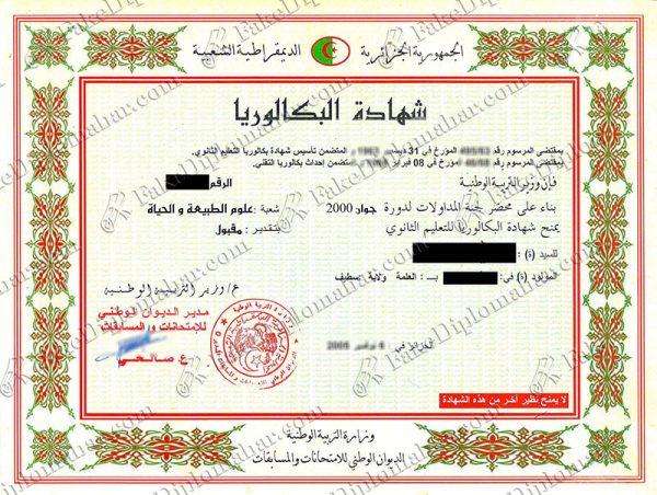fake Algeria High school certificate