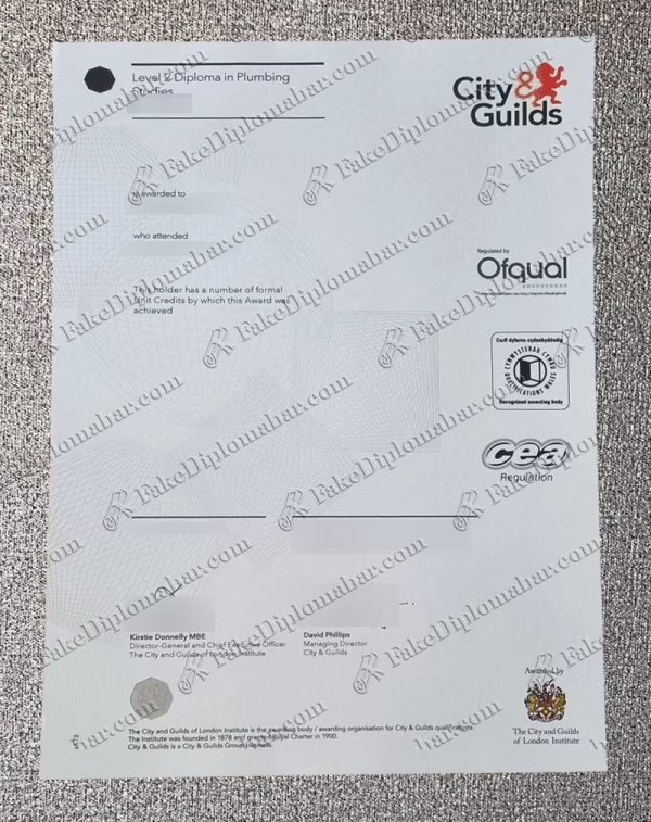 fake C&G certificate Level 2 diploma in Plumbing studies