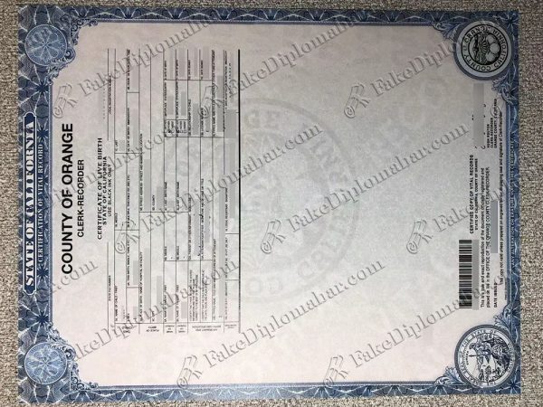 fake US birth certificate