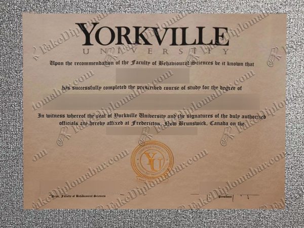 fake Yorkville University Diploma