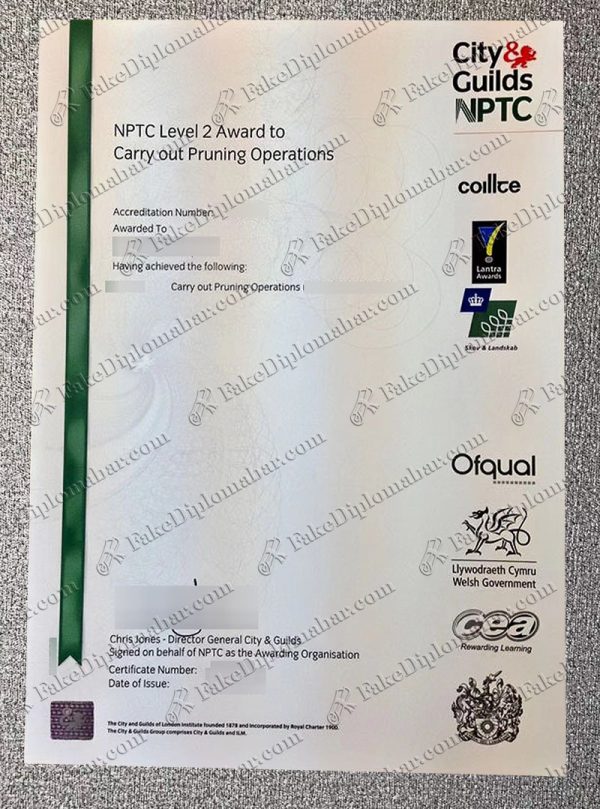 how can i buy fake fake CITY&Guilds NPTC Level 2 certificate online