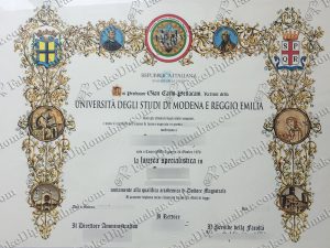 University of Modena and Reggio Emilia degree