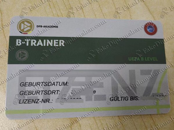 DFB-Trainer Lizenz
