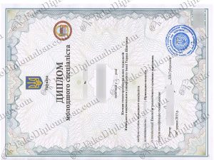 fake Taras Shevchenko National University of Kyiv diploma