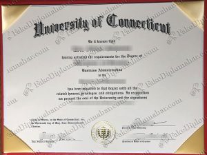 fake UConn diploma