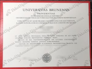 fake UNIVERSITAS BRUNENSIS diploma