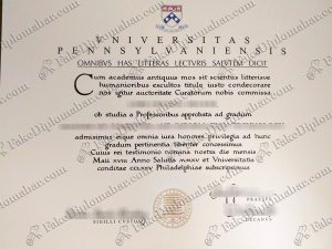 fake UPenn diploma