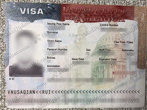 fake US VISA