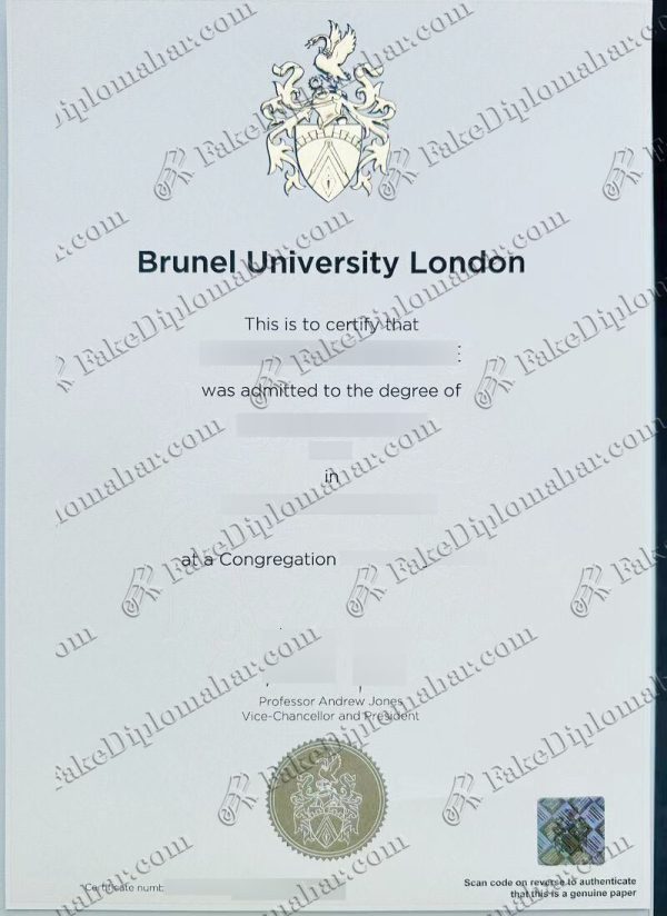 Brunel degree