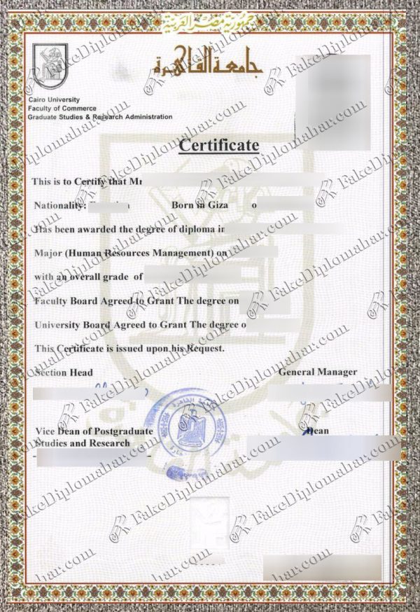 Cairo University degree