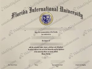 Florida International University degree