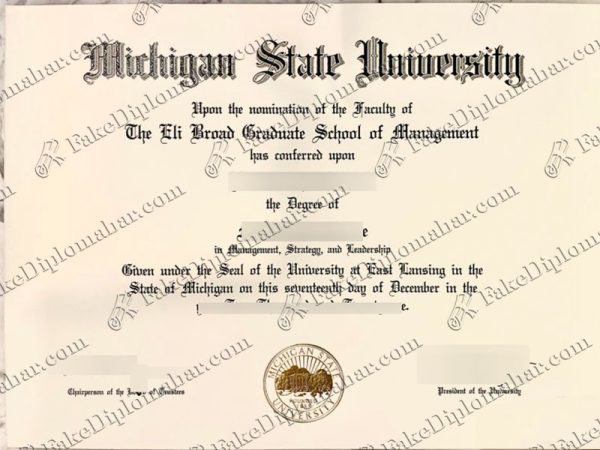 Michigan State University degree