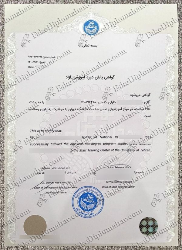 University of Tehran diploma