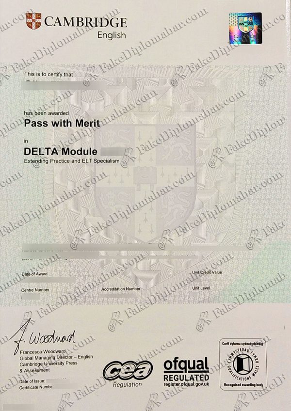 Cambridge Delta Module certificate