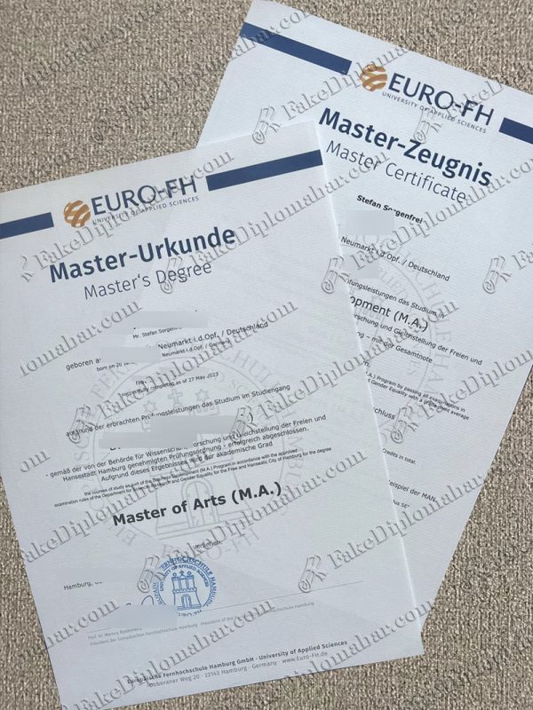 Euro-FH Hamburg degree