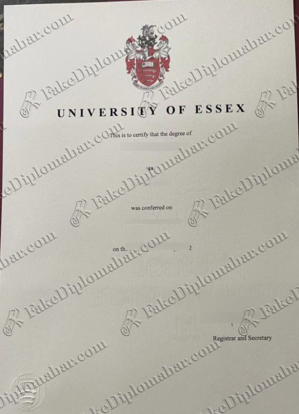 University of Essex degree